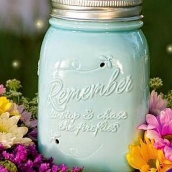 Chasing Fireflies Scentsy Warmer - Picture 2 of 16